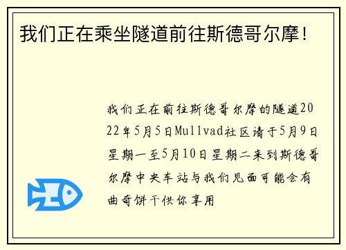 我们正在乘坐隧道前往斯德哥尔摩！